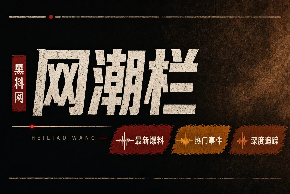 网浪栏公开资料导览
